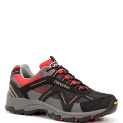 New Chiruca Sumatra 19