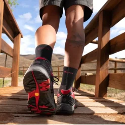 New Chiruca Sumatra 19